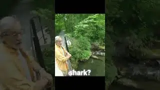 Did We Just Find a Land Shark in the Woods? #shorts