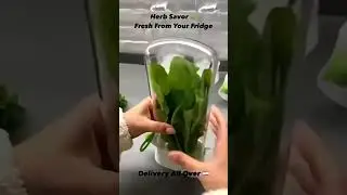 Herb Savor Eco Keeper-Keep Basil, Cilantro Fresh,Stackable Container