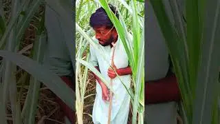 Funny Video 😂😂😂