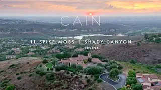 11 Spike Moss, Shady Canyon