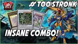 Yu-Gi-OH BEST! * COMPETITIVE* IN-DEPTH VENDREAD SHIRANUI DECK PROFILE |INSANE COMBO!| JUNE 2018