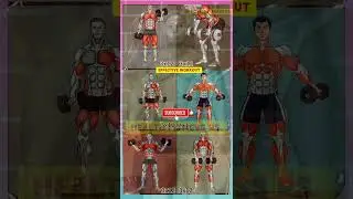 Transform Your Body in 30 Days Effective workout routines |  Get Fit in Minutes a Day #fitness #gym