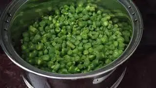 Maestro electric cooker demo | beans curry in steam
