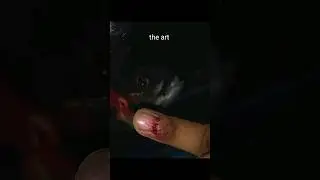 he bit me 😰 | oscar fish 🐠 |                                 #fish #oscarfish #shorts #viral