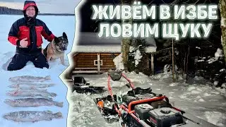 Ловим щуку, живем в избе. Щука на жерлицы в Чёрмозе.