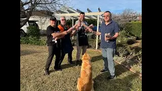 The succulent savoury salami production 2025