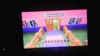 Minecraft color full house