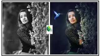KinG Fisher  Effect Add  in Snapseed mobile editor