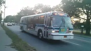 #Blackback 1999 Noavbus RTS-06 #5115 (Hanover Displays) on the B3 Passing Marine Park