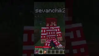 #shorts #minecraft  #meme #video #job #roleplay