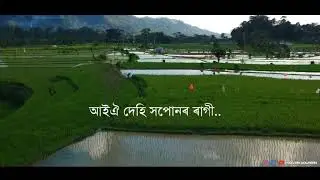 Drone Short off Golaghat