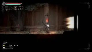 Salt and Sanctuary An unexpected soul