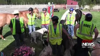 Animal rescue team fills a void when disaster strikes in Mason