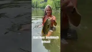 The Biggest Stream Smallmouth Bass That I&rsquo;ve Ever Seen Caught Being Released #bass #bassfishing