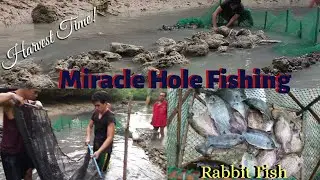 HOW TO CATCH A RABBIT FISH, MANGROOVE JACK, TILAPIA | MIRACLE HOLE FISHING |