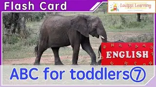 English [ABC words for young children 7] Flashcards Education For 0 to 3 years old