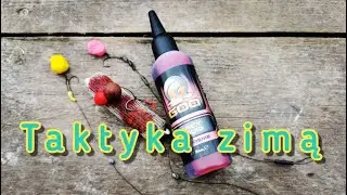 Łowienie karpi w zimie, taktyka + przypony. Zasiadka na Łowisku Gajdowe