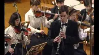 A. Rosenblatt. Fantasia on themes from Carmen