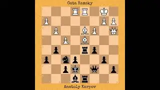 Gata Kamsky vs Anatoly Karpov, 1993 #chess #chessgame