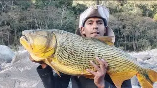 Pesca de dorado rio Pilcomayo villamontes ( mini video)