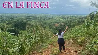 Veraguas, el llanillo
