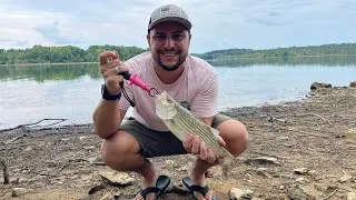 CAMPING AND FISHING ALONE - SPRUCE RUN RECREATION - NEW JERSEY - USA 🇺🇸