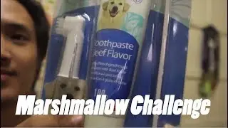 Tasting Dog toothpaste! Huge Marshmalllow Challenge!