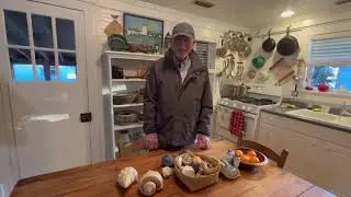 Fun Fact Friday, Episode 5: Shells! Do you know the difference between right & left whelks & conchs?