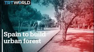 Madrid to wear 'green ring' to fight climate crisis