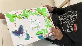 Life cycle of Butterfly - science