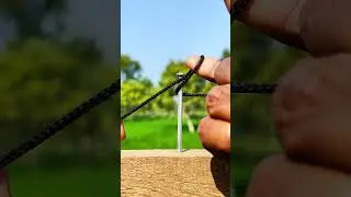 Genius ideas in the laws of nature