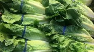 Costly greens: Why lettuce costs you more and when it will go back down