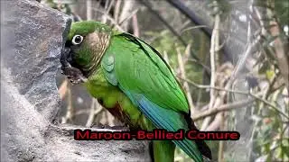 Visiting Hamilton Zoo, New Zealand