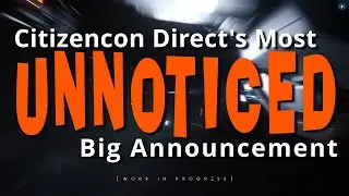 Большие вопросы о наименее заметном объявлении Citizencon Direct