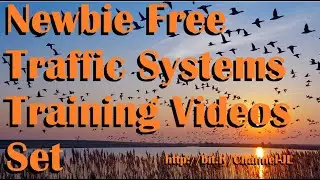 Newbie Free Traffic Systems Training Videos Set - 9 Videos