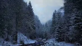 Snow Sounds for Anxiety Relief & Emotional Calm