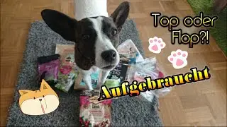 Aufgebraucht 11 // Top oder Flop // Hundeedition