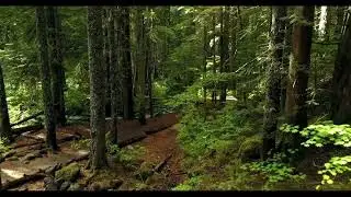 Meliora Meditation, 3 Hour Sleep Video, With Music #11
