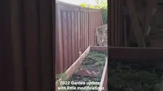 Started Gardening for 2022 | This year focus only Fruits, leaf vegetables, fall & winter vegs
