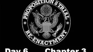 Prop 8 Trial Re-enactment, Day 6 Chapter 3