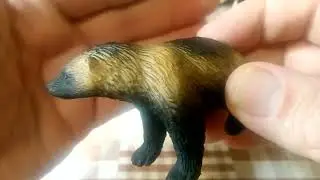 Mojo (Animal planet) Wolverine - росомаха