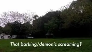 Sounds of the Jungle - Tikal, Guatemala