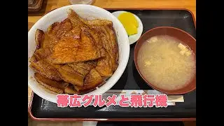 【北海道旅】JALで帯広空港へグルメと飛行機動画