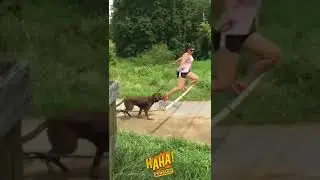 It's my life #shorts#ytshorts#funny#funnyshorts#funnyshorts#funnyvideos#funnymoments#funnyclips#haha