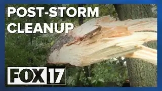 FOX 17 follows a tree removal company through the post-storm cleanup efforts