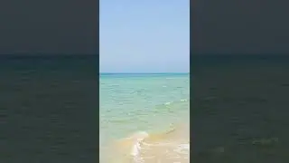 Sea beach #relax #beach #gaming #sea #beautiful #shorts 🌊