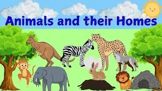 Learn about animal names and homes |  Learn where animals live | Animal homes vocabulary