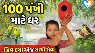 100 પંખી માટે આશરો...#birdlovers #birds #humanity #happiness #socialwork #animals #nature #youtube 