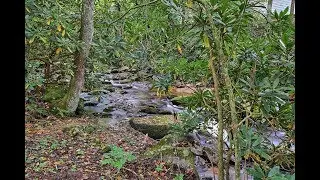 133 Blevins Hollow Road, Roan Mountain, TN 37687