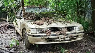 ASMR Car Restoration! Full Restoration 1986 Toyota Corolla Abandoned to New